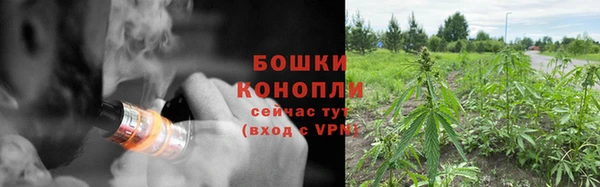 ГАЛЛЮЦИНОГЕННЫЕ ГРИБЫ Абаза