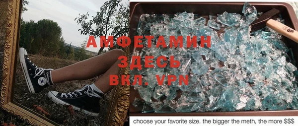 ГАЛЛЮЦИНОГЕННЫЕ ГРИБЫ Абаза