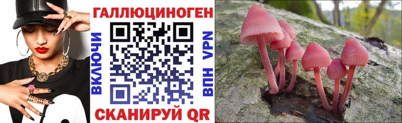 Галлюциногенные грибы Cubensis  мега ссылка  Лодейное Поле  даркнет сайт 